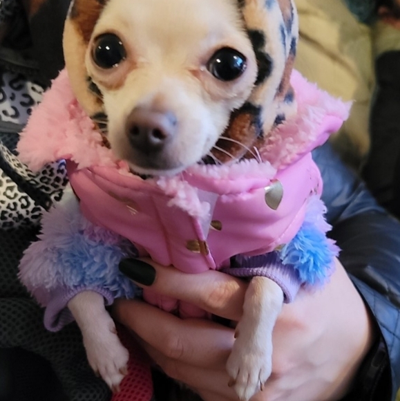 ๐ค๐ฎ๐ธ๐ฆโ ๐ค๐ฎ๐ธ๐ฆโ ๐ค - Picture 15 of 16